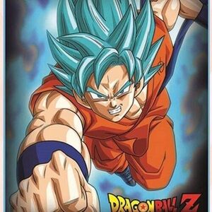 Blue and Orange Throw Blanket